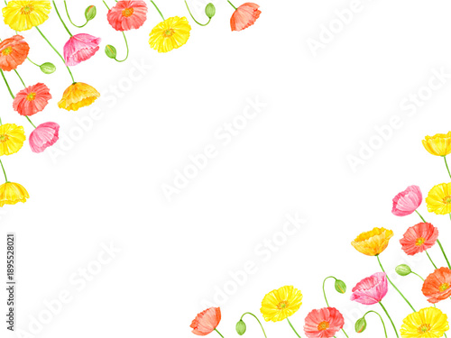 水彩で描いたカラフルなポピーのフレーム