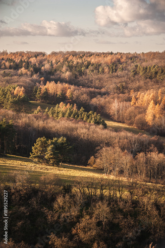 Beautiful autumn forest hills landscape in warm evening sunlight