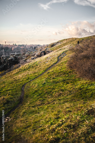 Hiking trail winding up a grassy hill slope in nature