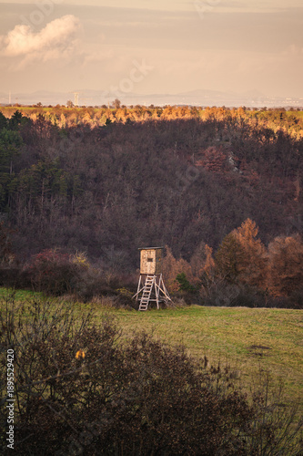 Wooden hunting high seat in the field near autumn forest