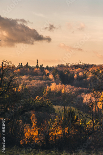 Scenic autumn forest landscape with a distant tower at sunset