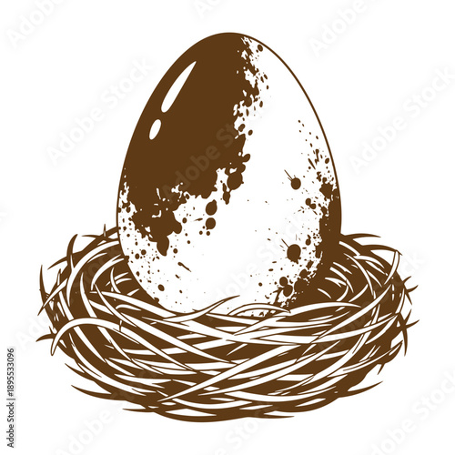 Vintage Grunge texture Brown egg in a nest with splatter design isolated on white background  A brown egg with a splattered design sits in a nest