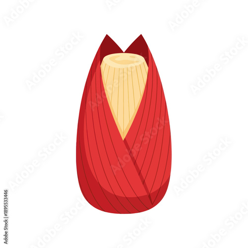 Illustration of a ripe red chili pepper with visible seeds