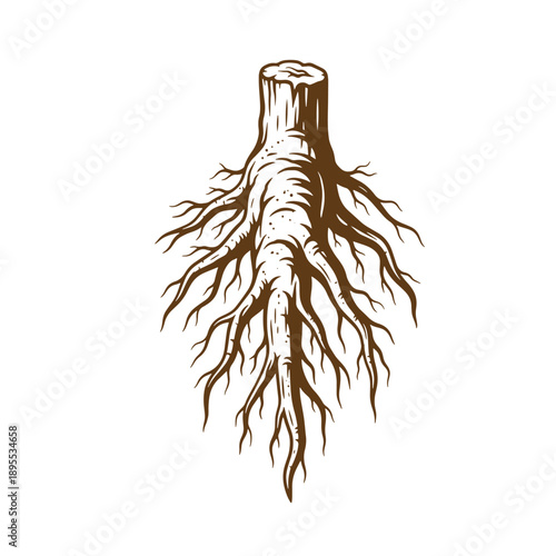 Vintage Grunge texture illustration of a tree stump with exposed roots on a plain surface