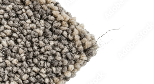 Neutral Textured Loop Carpet Edge Macro