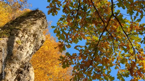 Golden Polish Autumn. Trees with yellow leaves, rock. Skała, Poland.
