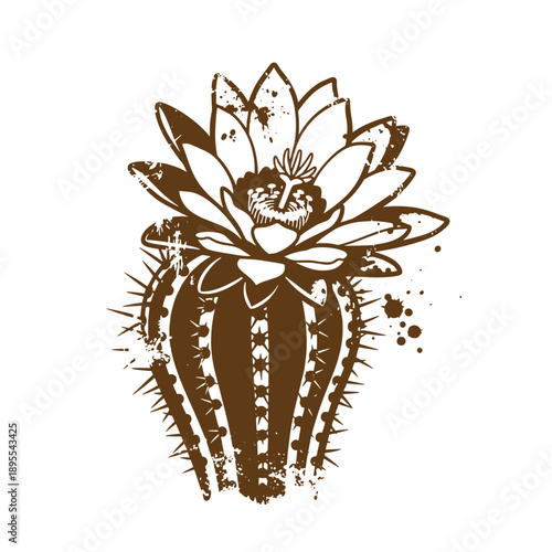 Vintage Grunge texture illustration of a flowering cactus with sharp thorns and a flower on top in a drawing style with splashes