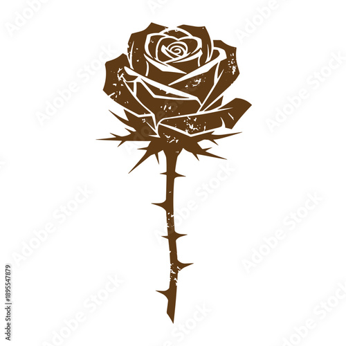 Vintage Grunge texture illustration of a single rose with thorns on the stem on white background  symbol of love and beauty