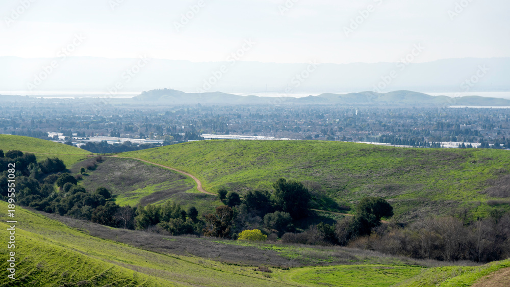 Obraz premium A serene springtime walk through the verdant, grass-covered slopes of Garin and Dry Creek Pioneer Regional Parks in Hayward, showcasing the East Bay's natural beauty after the winter rains.