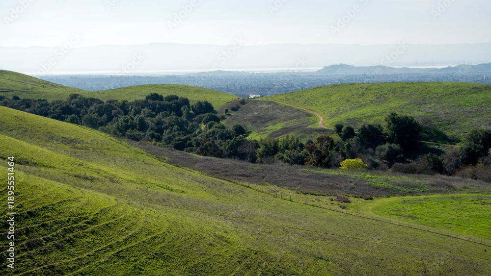Obraz premium Hiking the scenic High Ridge Loop Trail in Garin Regional Park, offering spectacular views across the lush green rolling hills and out to the San Francisco Bay and surrounding areas.