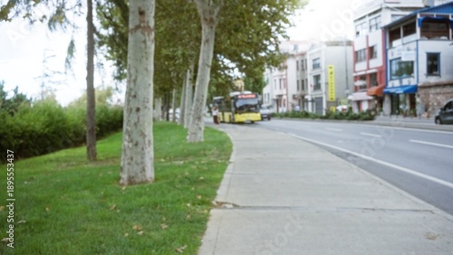 Photos Blurred tree lined urban street background showing a grassy sidewalk curving past plane trees, distant yellow bus and storefronts; background backdrop backplate template