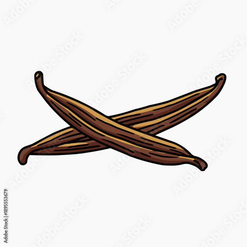 Vector illustration of crossed vanilla bean pods on white background