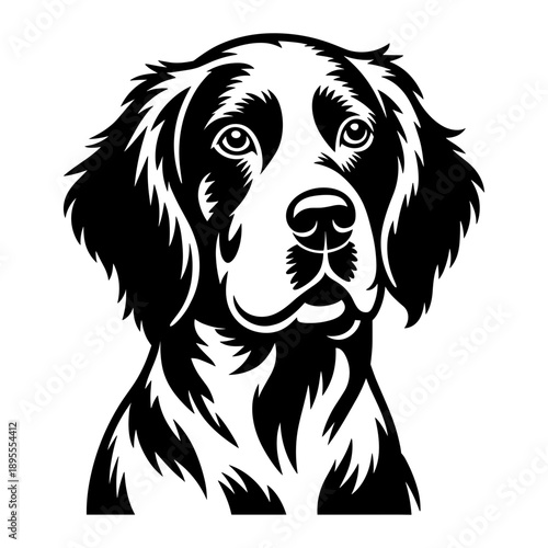 English Setter Dog