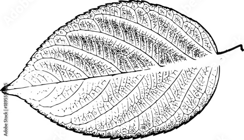 Recycle icon set. Ecology, eco friendly and environmental symbol. Vector illustration.
