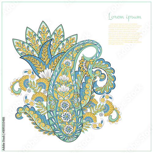 Paisley vector isolated pattern. Floral Vintage illustration