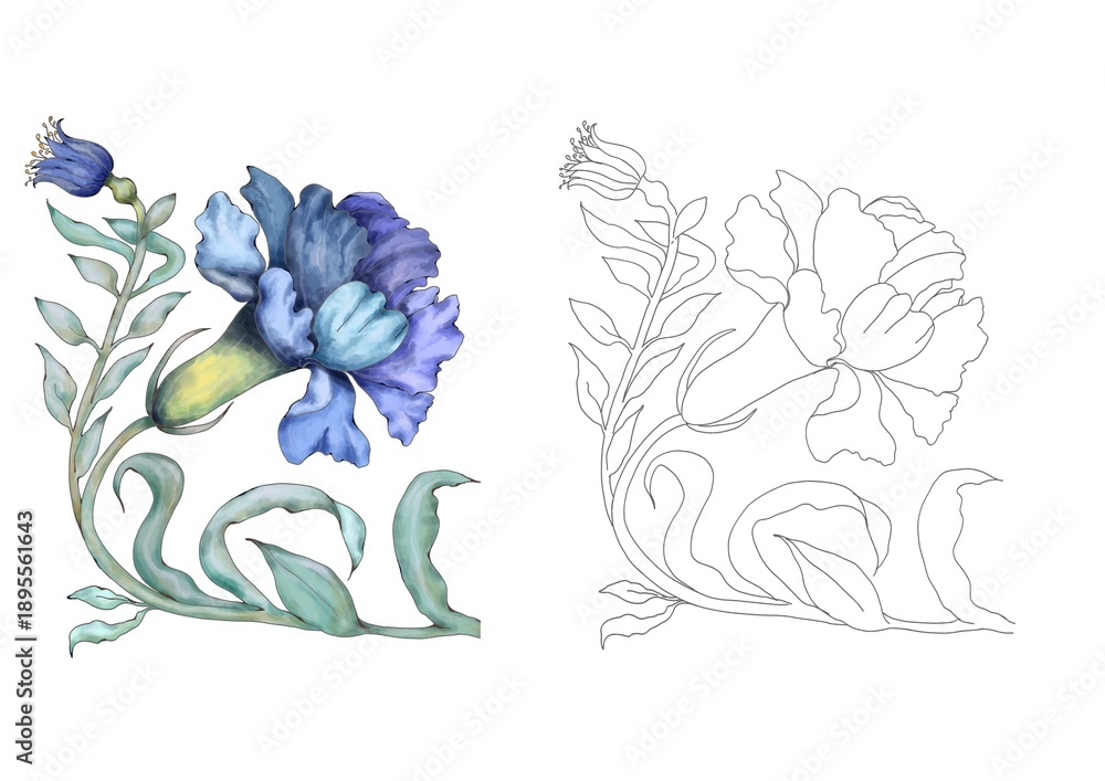 Fototapeta premium Watercolor carnation coloring page, linear and color version. 