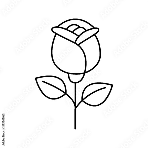 Love Line Art Animation of Valentine Day Gift, Rose Flower Monoline Animated