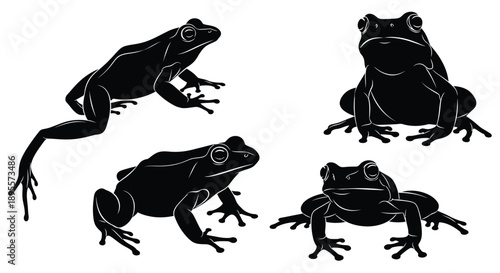 Four black silhouette illustrations of frogs in different poses