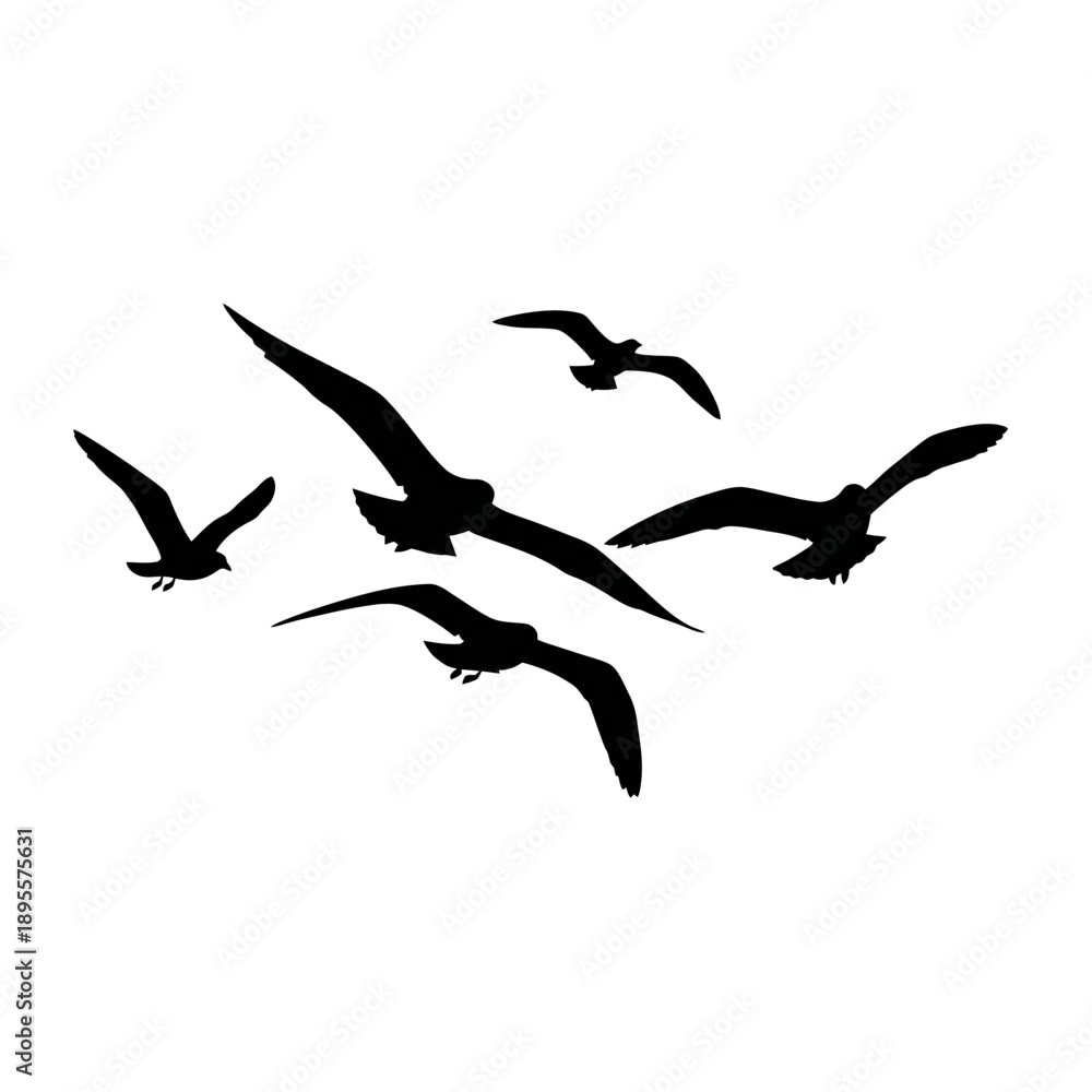 Obraz premium Silhouette Flock of Seagulls Flying in Open Sky