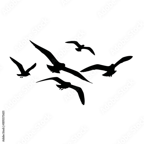 Silhouette Flock of Seagulls Flying in Open Sky