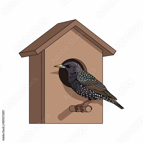 Starling Birdhouse Scene