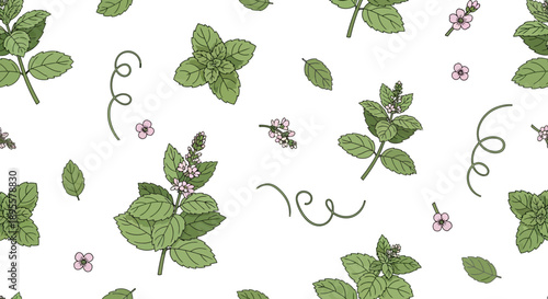 Seamless Pattern of Fresh Mint and Basil Leaves with Tiny Blossoms for Natural Design Creations