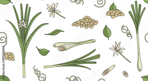 illustration of herbal ingredients and natural remedies with detailed botanical elements suitable for health and wellness themes