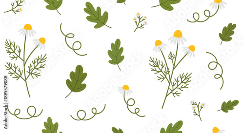 Seamless pattern of cheerful daisy flowers and playful green leaves with curling tendrils perfect for spring-themed designs