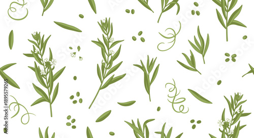 Botanical Pattern with Green Herbal Stems and Small Leaves on White Background for Design Applications