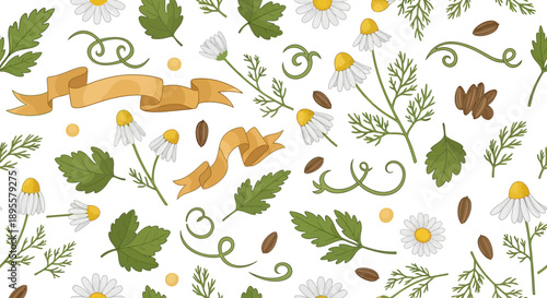 Detailed botanical illustration of wild herbs and flowers with daisies and leaves in a seamless pattern for nature-inspired