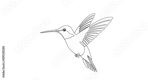 Minimalist Hummingbird Outline Drawing in Flight on White Background
