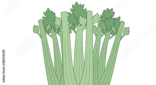 A bunch of green celery stalks with leaves digitally illustrated against a white background