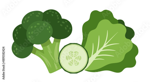 Broccoli cucumber slice and lettuce leaves arranged on a white background