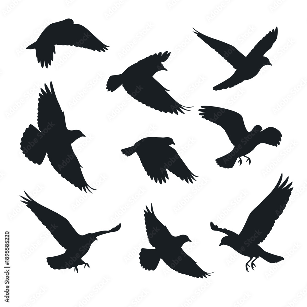 Obraz premium Flock of Birds Silhouettes Flying Against White Background