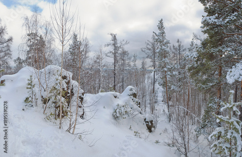 Magnificent snow-covered forest among rocks on the mountain, bright evening light illuminates treetops and snow.