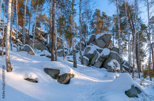 Winter weather. A magnificent snow-covered forest among the rocks on a mountain, the bright evening light illuminating the treetops and snow.