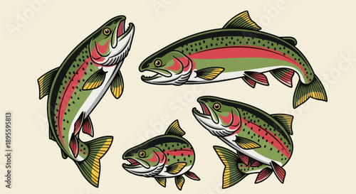 Hand-drawn vector illustration set of rainbow trout in various dynamic poses. Perfect for fishing graphics, apparel, t-shirt designs, stickers, and outdoor-themed designs 