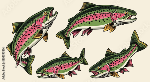 Hand-drawn vector illustration set of rainbow trout in various dynamic poses. Perfect for fishing graphics, apparel, t-shirt designs, stickers, and outdoor-themed designs 