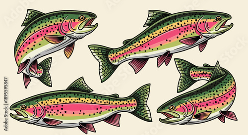 Hand-drawn vector illustration set of rainbow trout in various dynamic poses. Perfect for fishing graphics, apparel, t-shirt designs, stickers, and outdoor-themed designs 