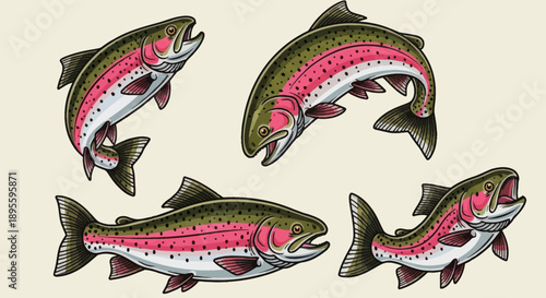 Hand-drawn vector illustration set of rainbow trout in various dynamic poses. Perfect for fishing graphics, apparel, t-shirt designs, stickers, and outdoor-themed designs 