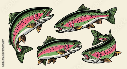 Hand-drawn vector illustration set of rainbow trout in various dynamic poses. Perfect for fishing graphics, apparel, t-shirt designs, stickers, and outdoor-themed designs 