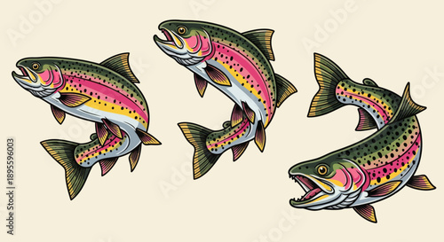 Hand-drawn vector illustration set of rainbow trout in various dynamic poses. Perfect for fishing graphics, apparel, t-shirt designs, stickers, and outdoor-themed designs 