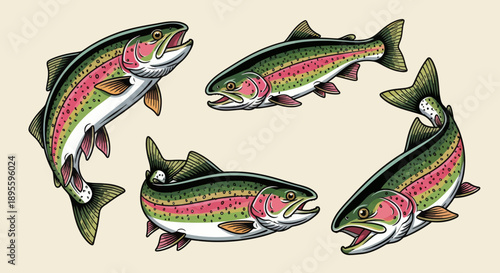 Hand-drawn vector illustration set of rainbow trout in various dynamic poses. Perfect for fishing graphics, apparel, t-shirt designs, stickers, and outdoor-themed designs 