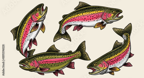 Hand-drawn vector illustration set of rainbow trout in various dynamic poses. Perfect for fishing graphics, apparel, t-shirt designs, stickers, and outdoor-themed designs 