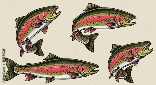 Hand-drawn vector illustration set of rainbow trout in various dynamic poses. Perfect for fishing graphics, apparel, t-shirt designs, stickers, and outdoor-themed designs 