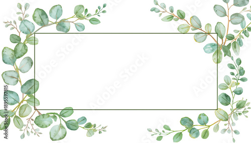 Watercolor illustration frame eucalyptus leaves isolated on transparent background
