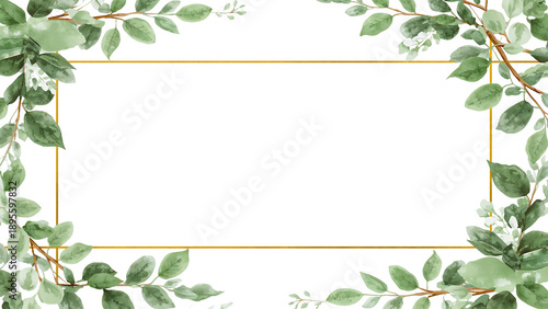 Watercolor illustration frame eucalyptus leaves isolated on transparent background
