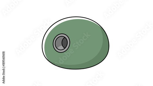Green olive with a pit inside, simple vector illustration