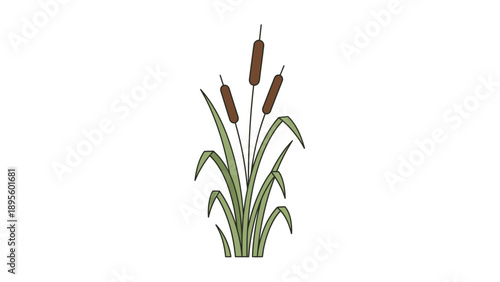 Stylized Vector Illustration of Tall Green Cattails with Brown Spikes, Depicting Wetland Nature