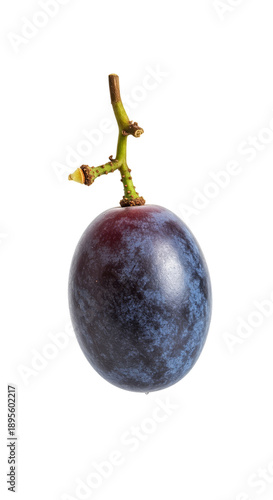 Single Dark Purple Grape Is...